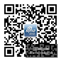 姚基金获亚,马逊云科技,百万美元捐,熊猫体育,熊猫体育赛事,赛事分析